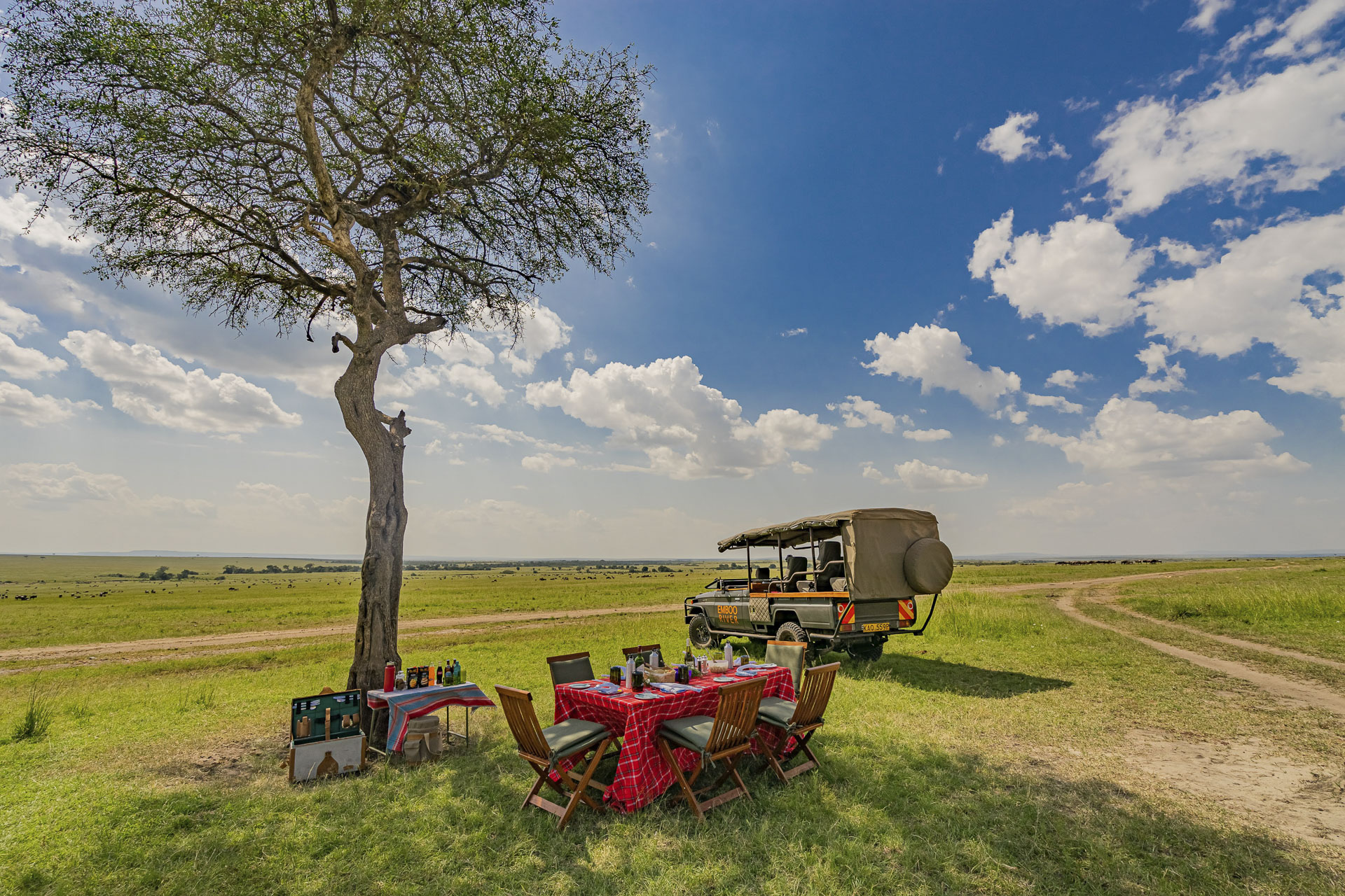 Emboo Camp in Kenia tijdens safari met Live To Travel