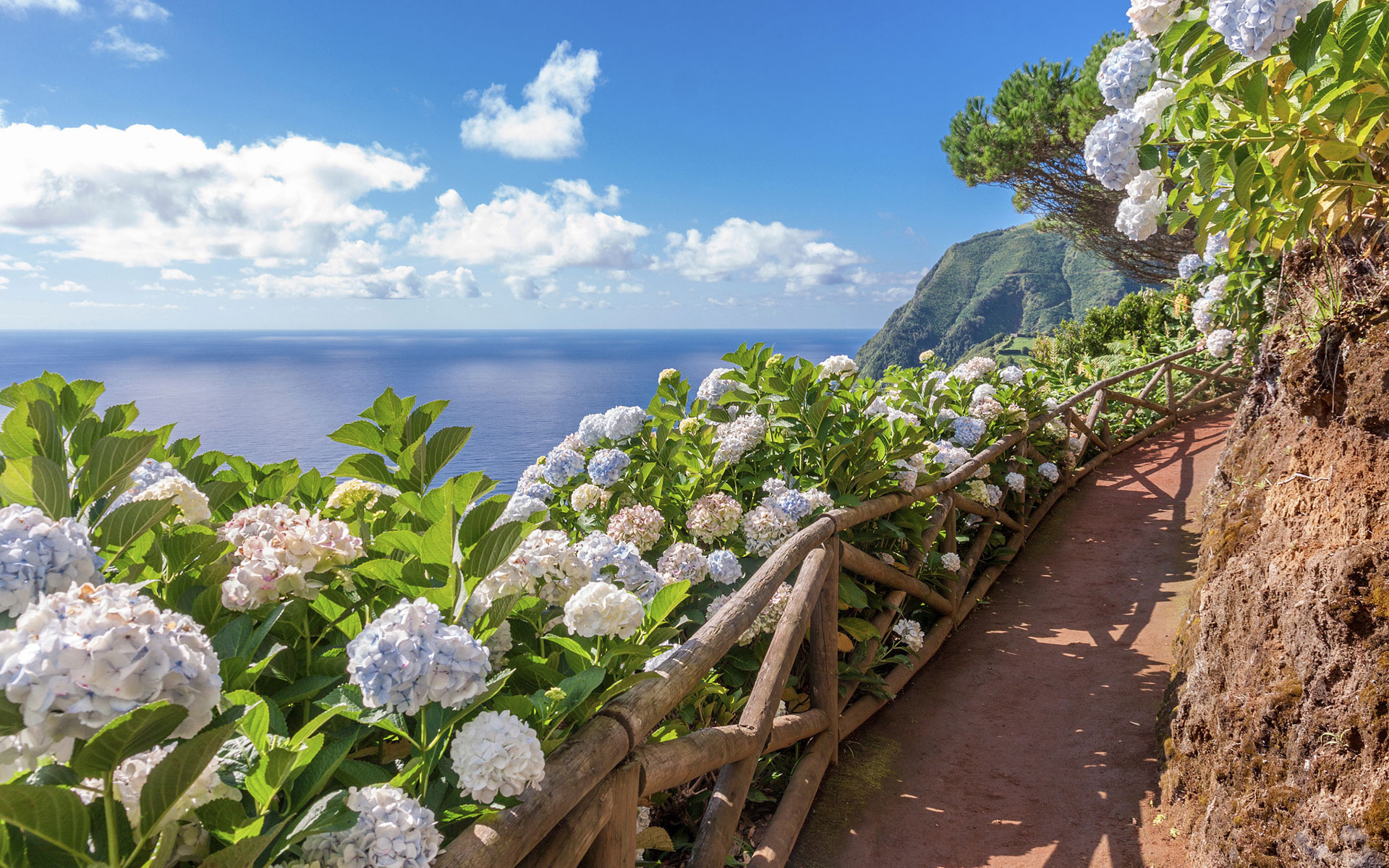 Wandelen met Adagio in Madeira, Kaapverdië of de Azoren