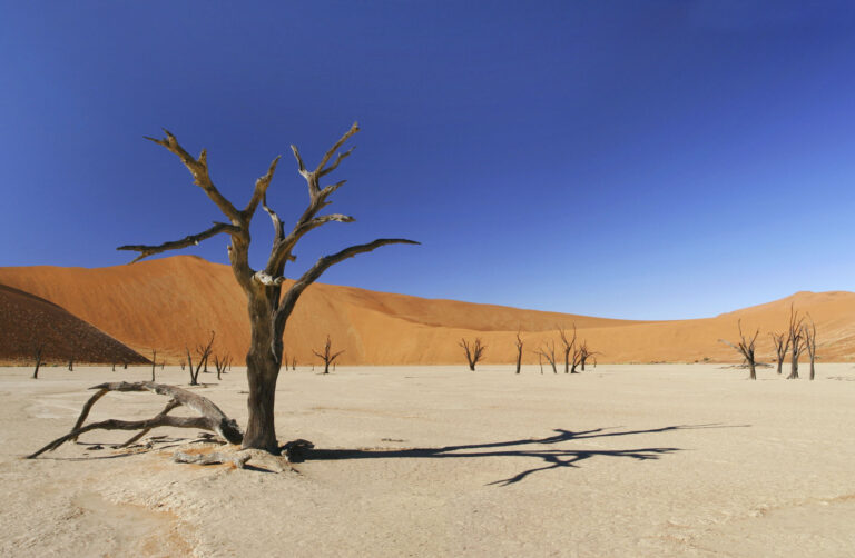 Nederlandstalige begeleide rondreis naar Namibië met Live To Travel