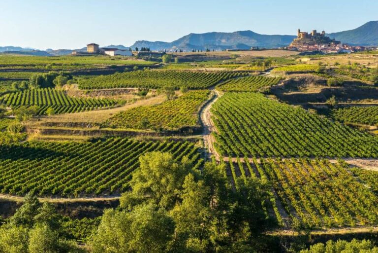 Rioja wijn Baskenland groepsreis rondreis