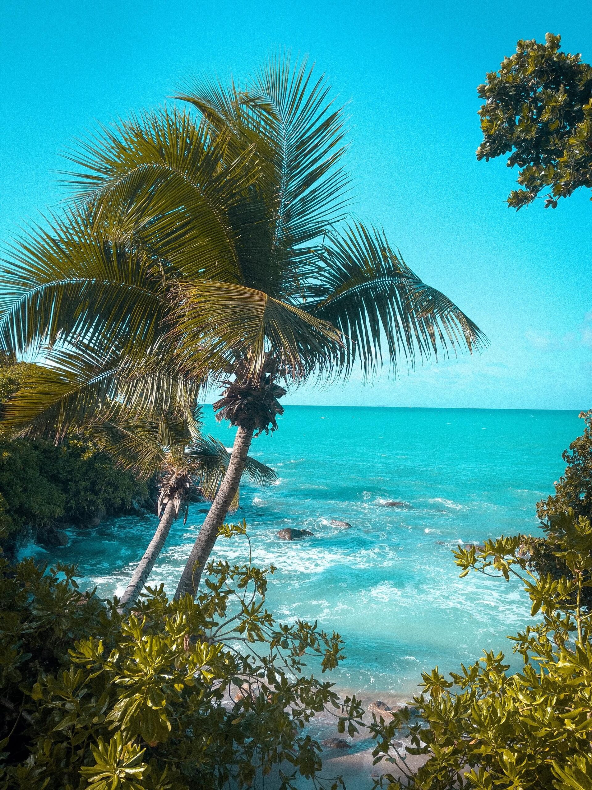 Tropisch zicht vanop de Seychellen