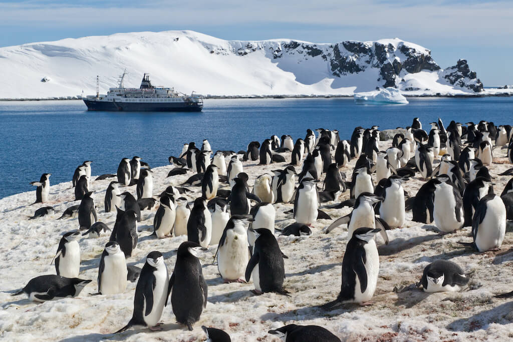 Asteria Expeditions brengt je naar Antarctica