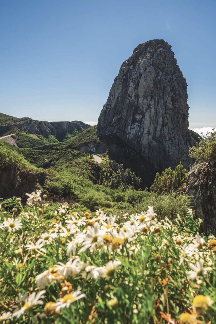 06-LaGomera062-Groot