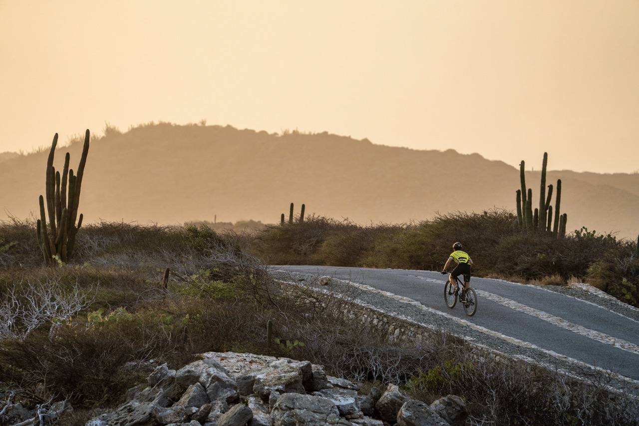Aruba Nature Groot