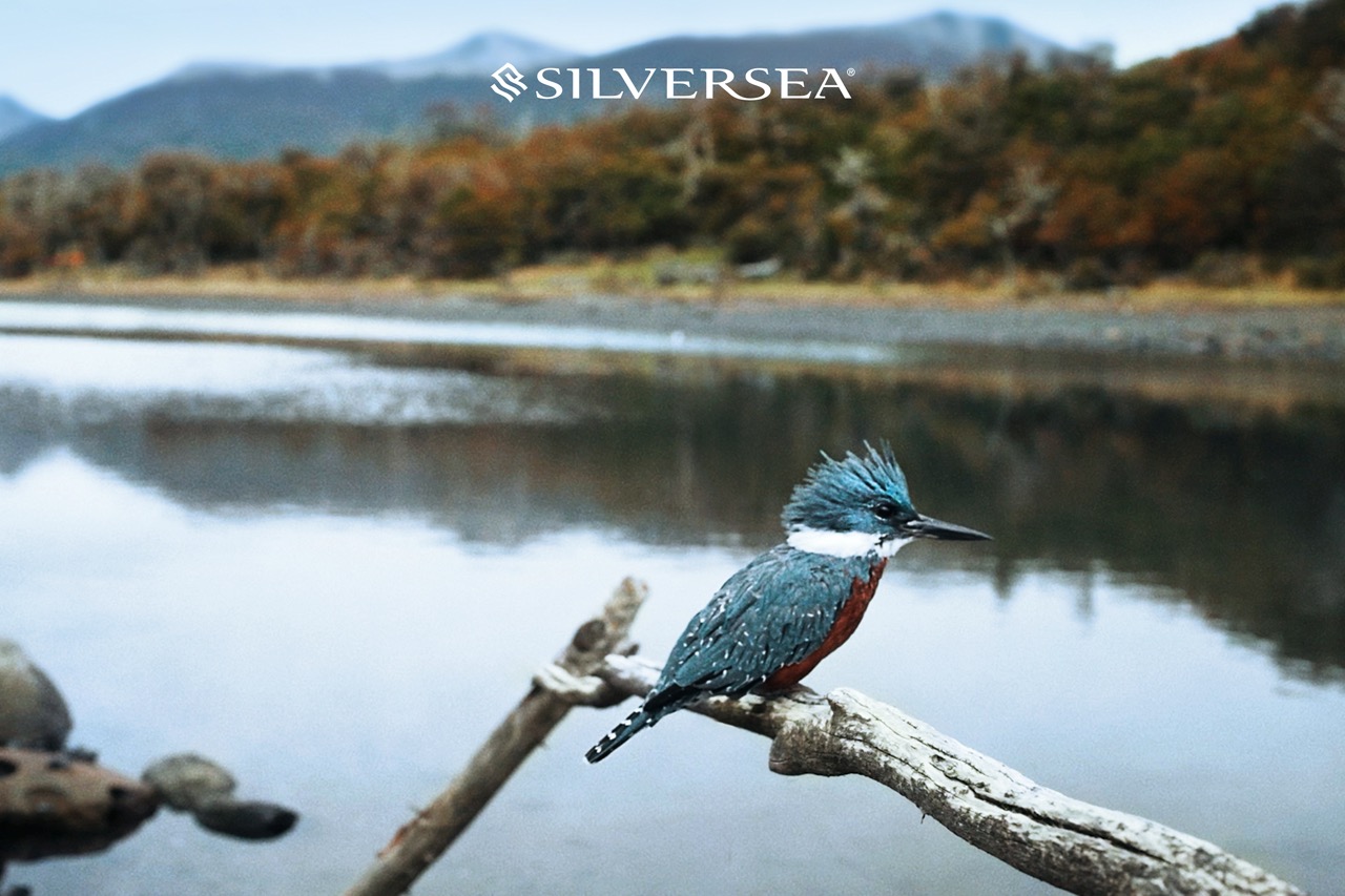 Silversea-The-Cormorant-at-55-South-in-Puerto-Williams-01