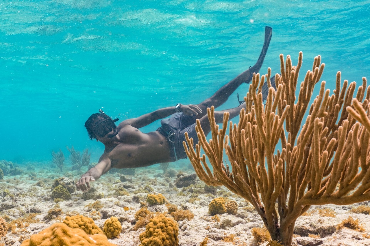 Snorkeling-at-Mangel-Halto Groot