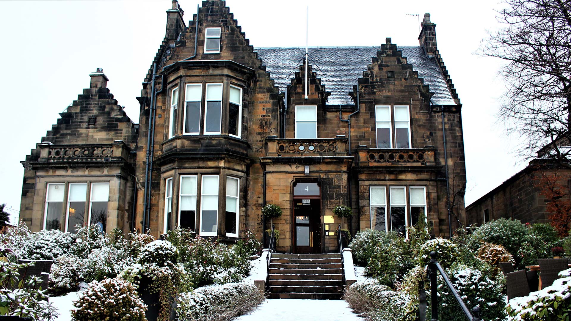 snow-view-reading