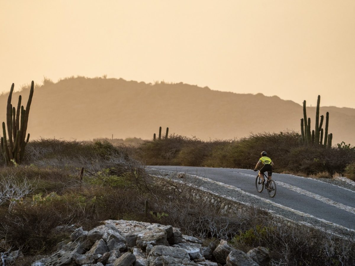 Aruba Nature Groot