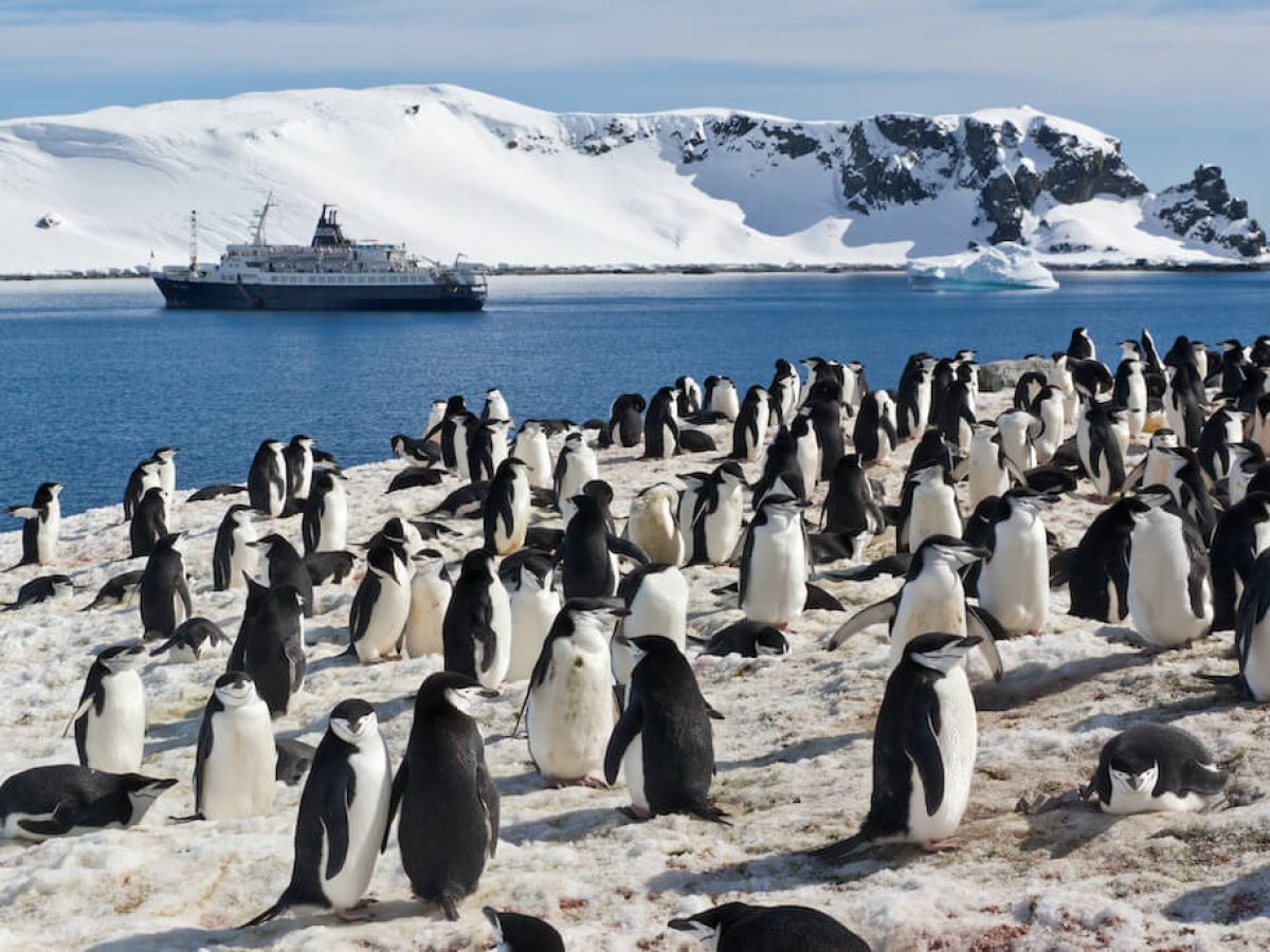 Asteria Expeditions brengt je naar Antarctica