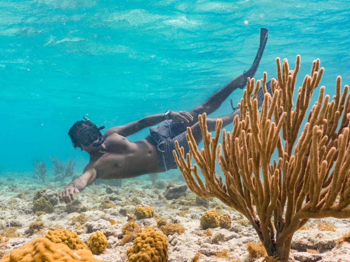 Snorkeling-at-Mangel-Halto Groot