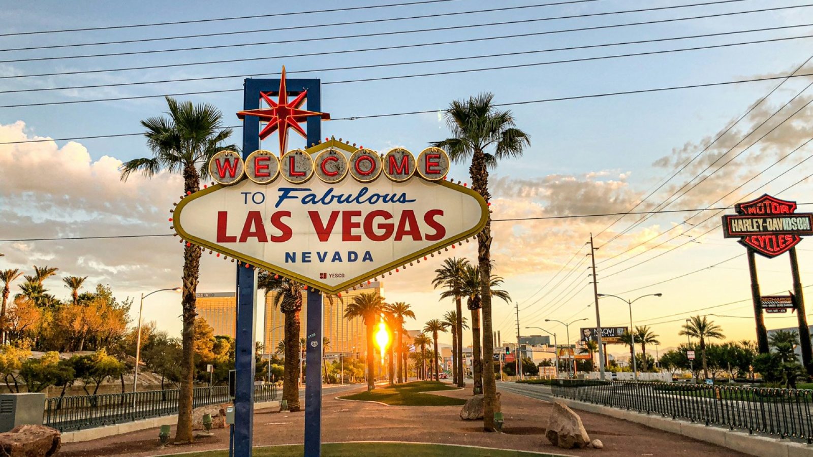 Vegas Groot