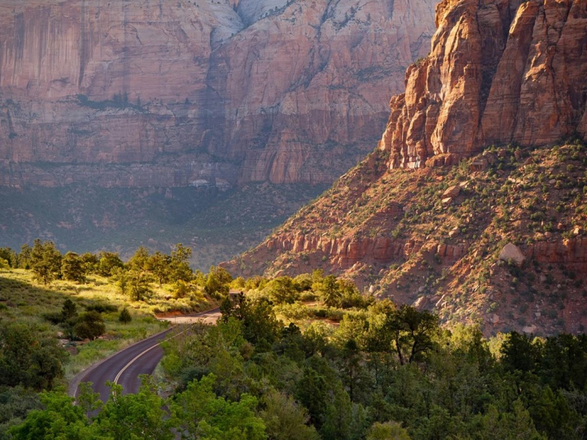 Zion National Park Groot