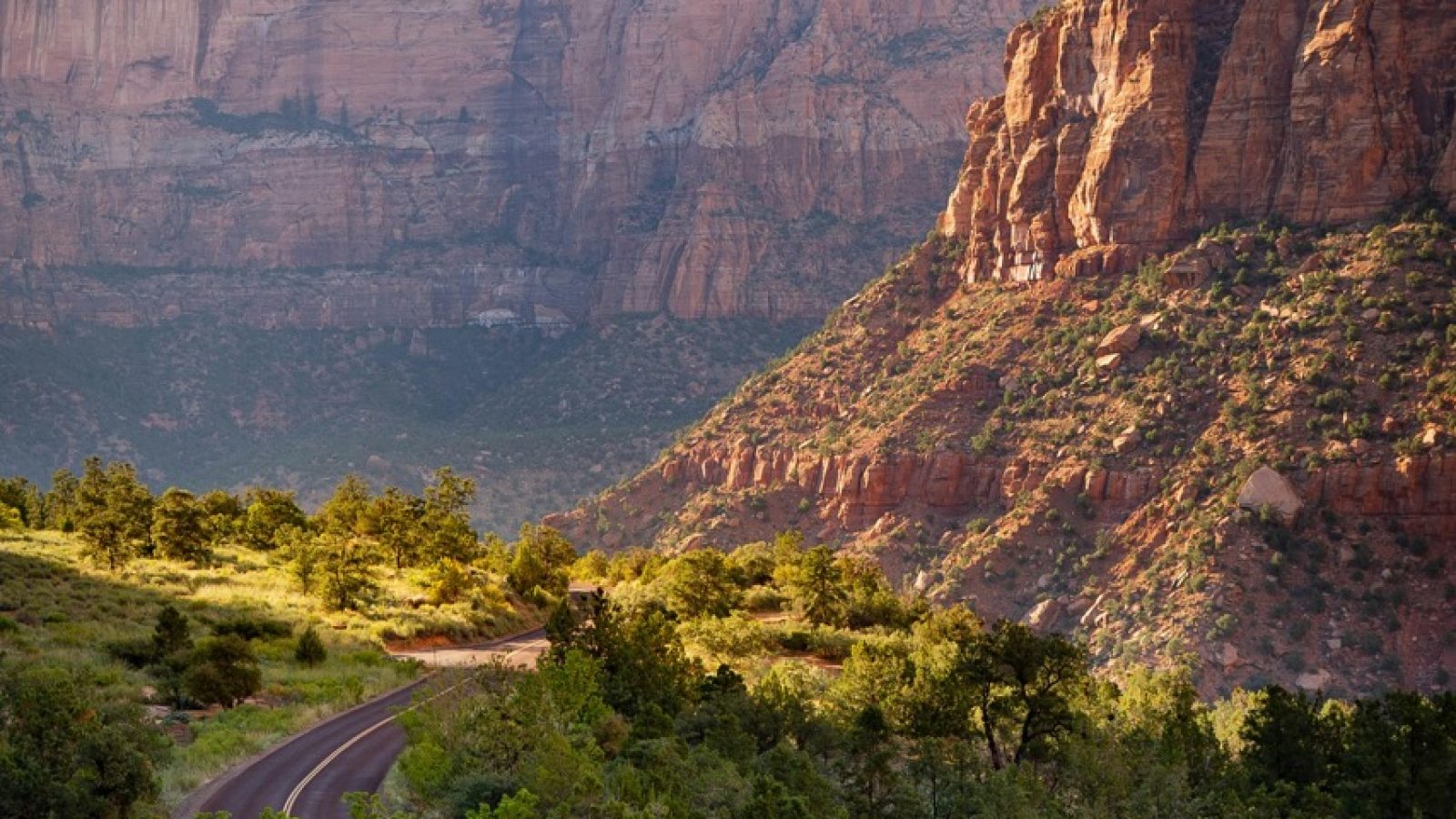 Zion National Park Groot